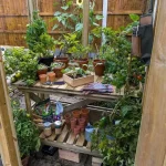 Hartwood 4' x 4' Dale Lean-To Wooden Greenhouse - Image 5